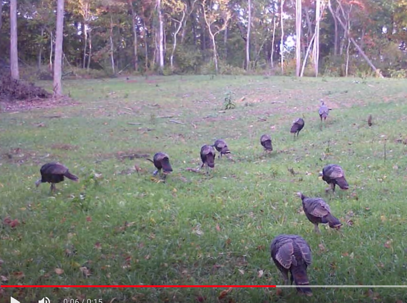 Screen Shot 2024-01-22 at 6.15.05 AM