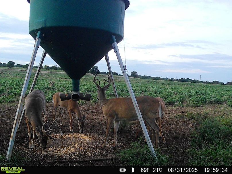 860516064952926-50-3-09032025052742-HD-SYFW6397