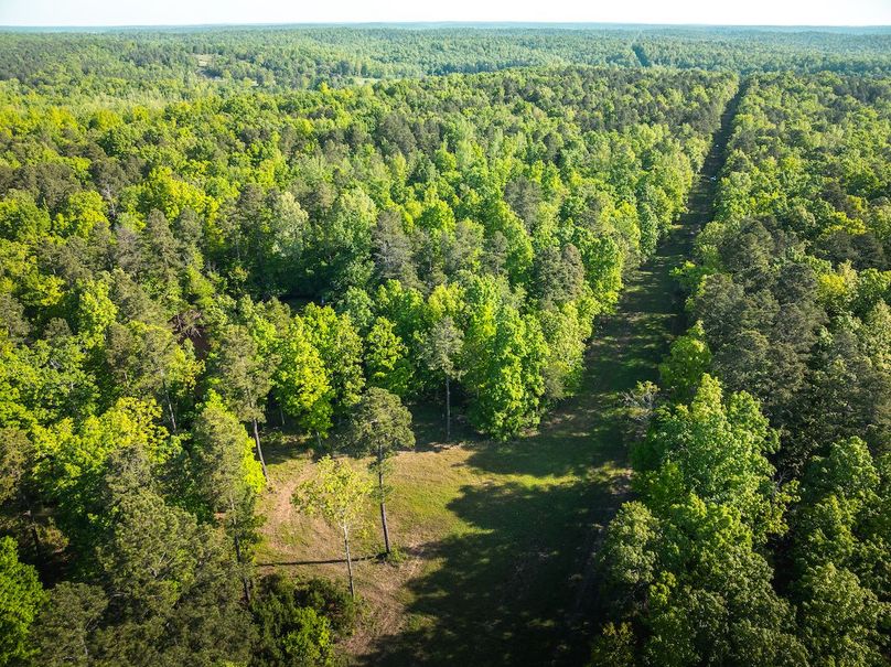DJI_20250506090410_0173_D