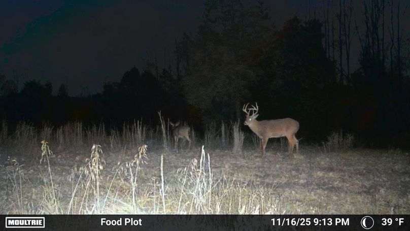 Grayson 48.195 Johnson26