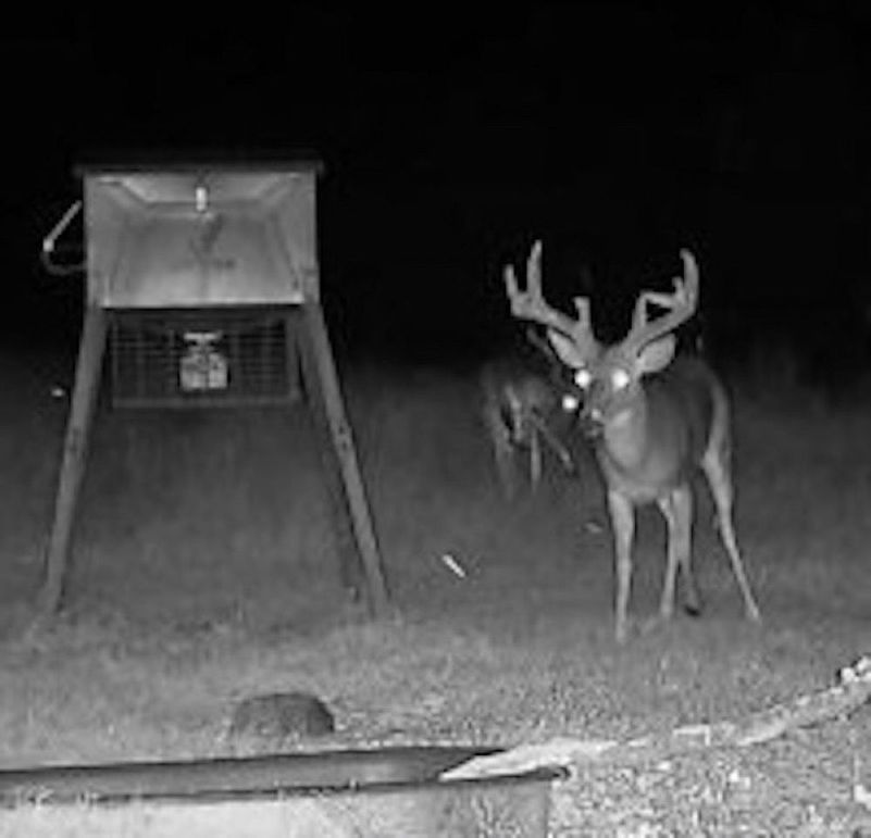 b36c5bed-8ff3-4d32-b4a2-a7304e9ec805