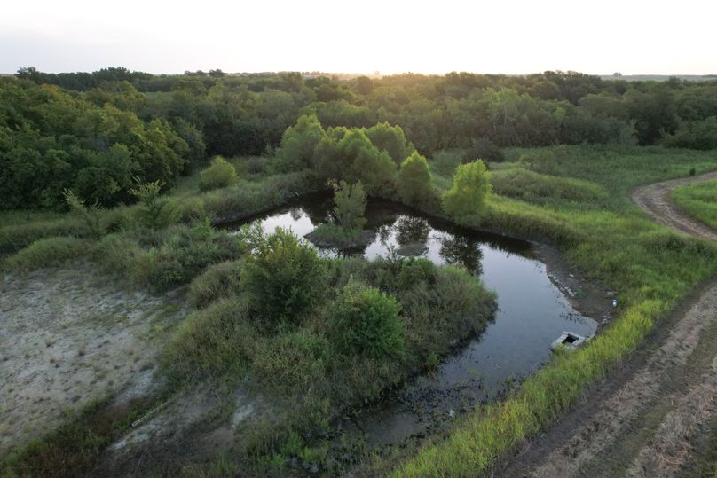 Fannin 37 Acres-27