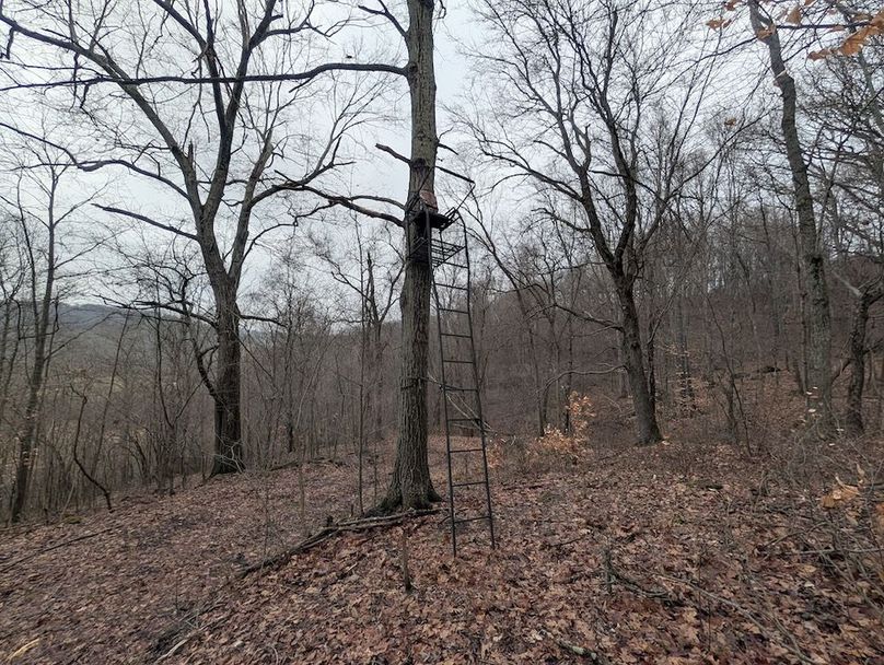 PXL_20260107_164945129