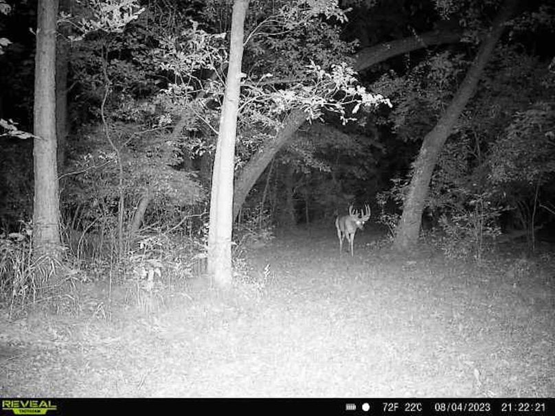 fc8d346e-0d4f-49d1-9e2f-40c7c42ddc4b