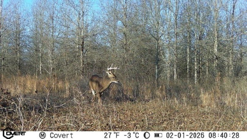 02_01_2026_08_40_28_3340533238