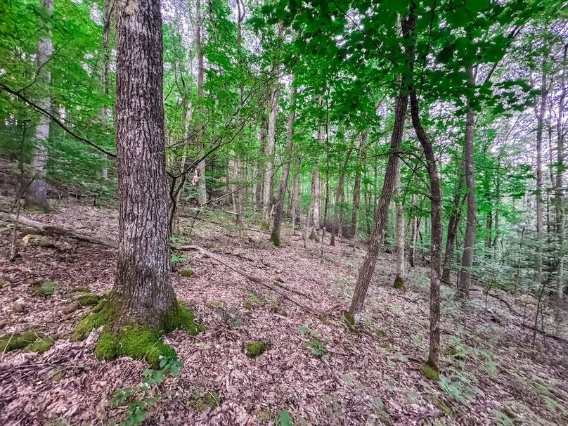 Webster, WV 42 AC Barger-26