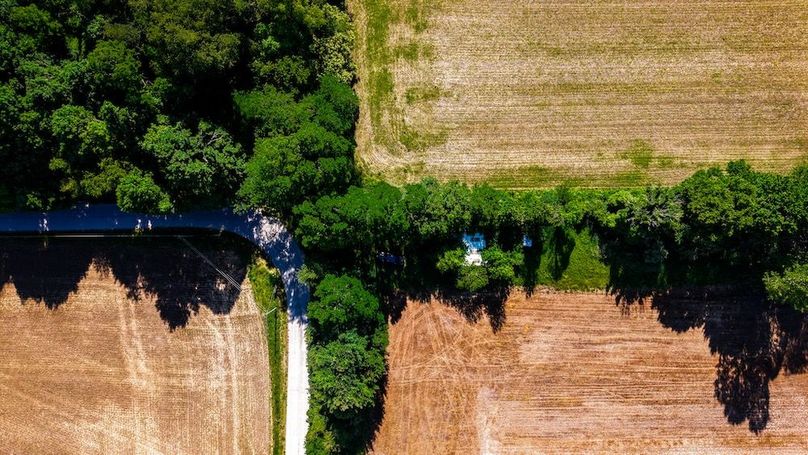 dji_fly_20260530_094456_0116_1780149199273_photo
