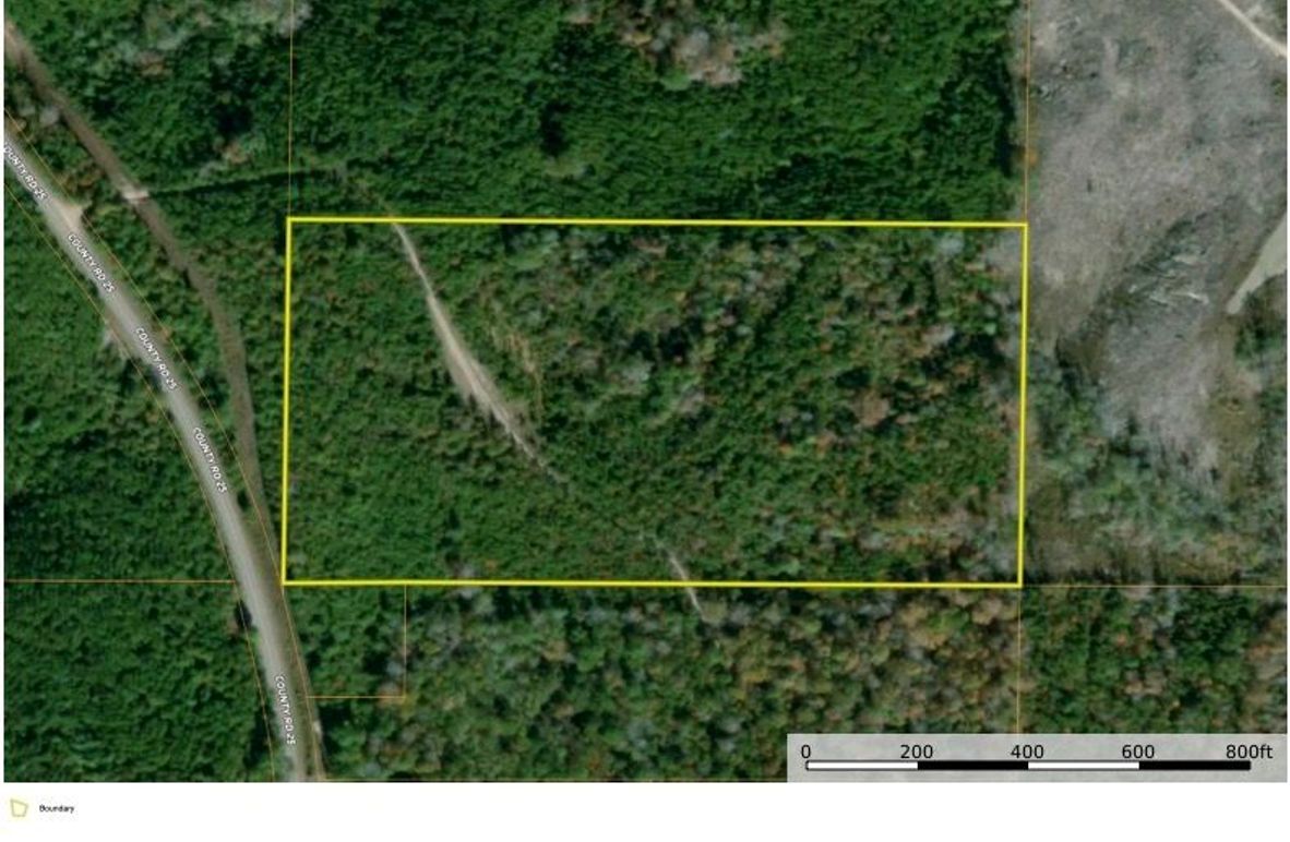 Aerial #1 Approx. 20 Acres Choctaw County, AL copy 2