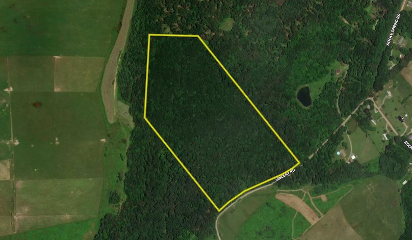 Screen Shot 2023-03-10 at 4.11.53 PM