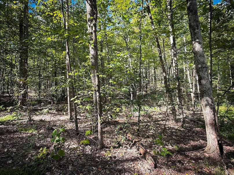 Tompkins_103.12_SusquehannaLandCo_Photos_11