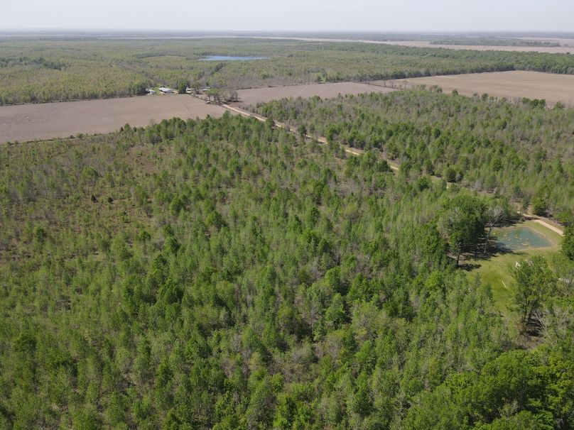 007460E5-98EC-4F6C-BD2C-5C55D9478842_1_102_o