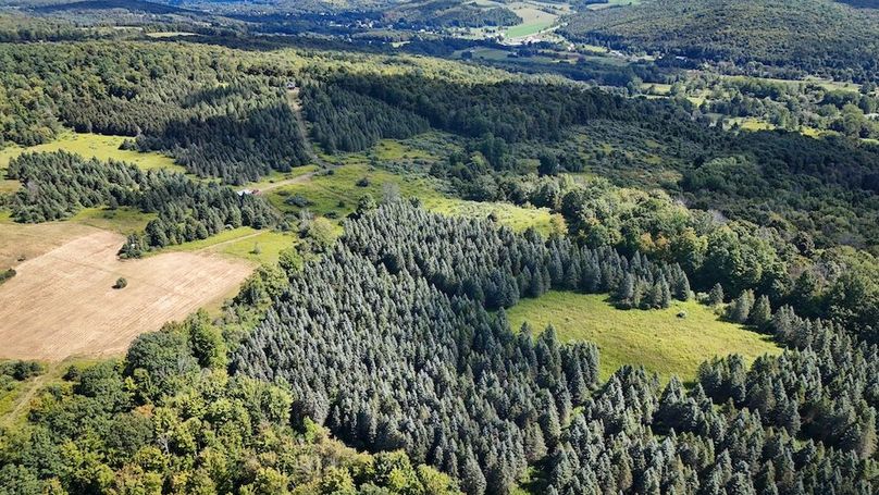 Tioga NY 232.62 Shores Photos 23