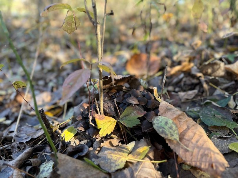 Wayne_18.11_Koehler Photo 13