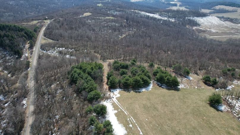 dji_fly_20260319_142356_146_1773945025760_photo