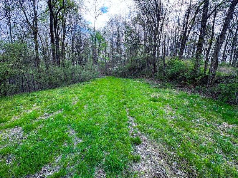 Calhoun, WV 132.84 AC Szegi 2-135