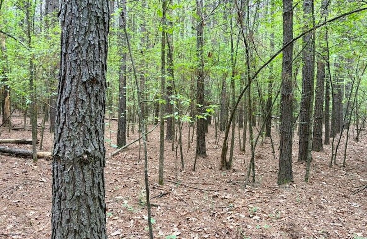 00EE4E7C-CE43-43A6-B491-675018EB0588_1_105_c