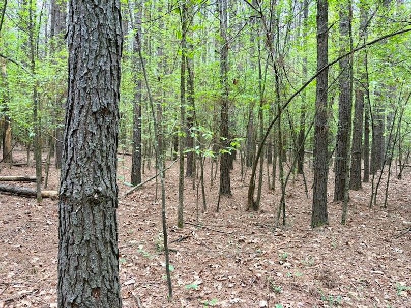 00EE4E7C-CE43-43A6-B491-675018EB0588_1_105_c