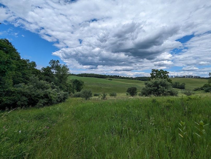 PXL_20240607_191008927