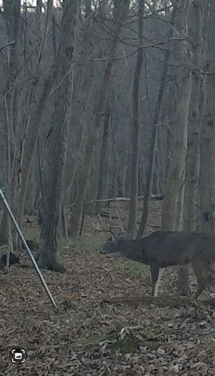 Resized_Screenshot_20211129-181246_Gallery1_1709915889806