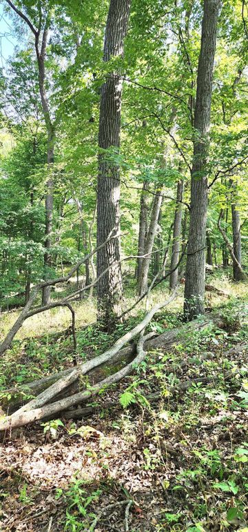 384298126_1695328320945852_3953855503855579210_n