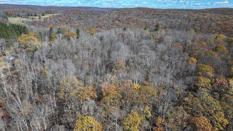 Somerset, 10.91, Tinkey-13