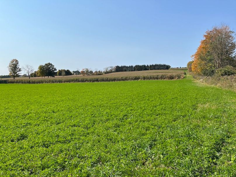 Yates_29_Stape Photo 35