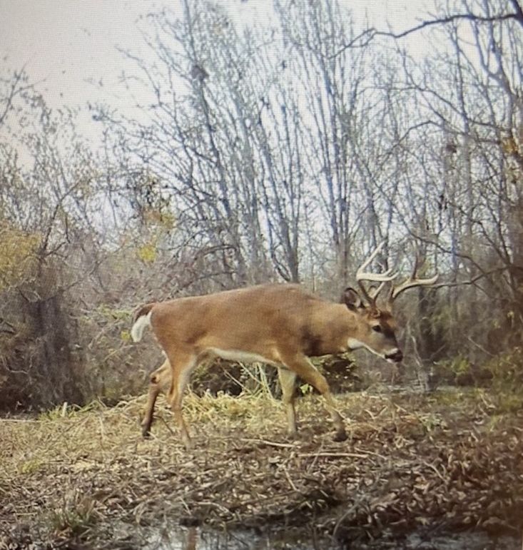 BC8258B9-D79B-44B9-BAF8-019F6FF2FCA8_1_105_c