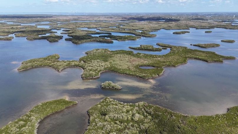 17.17ac, Citrus, Josiah Ronco26