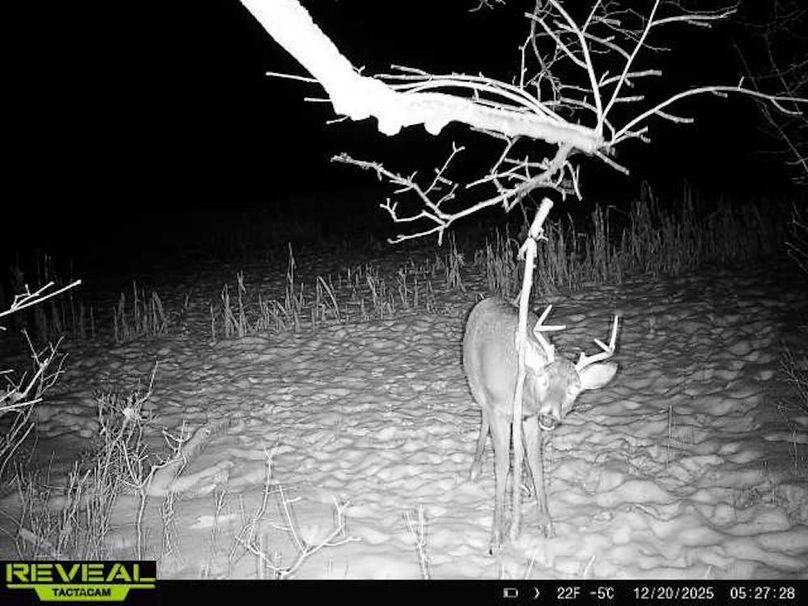 865814043293958-10-3-12202025052728-W1004721