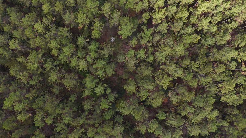 DJI_20231026123811_0036_D
