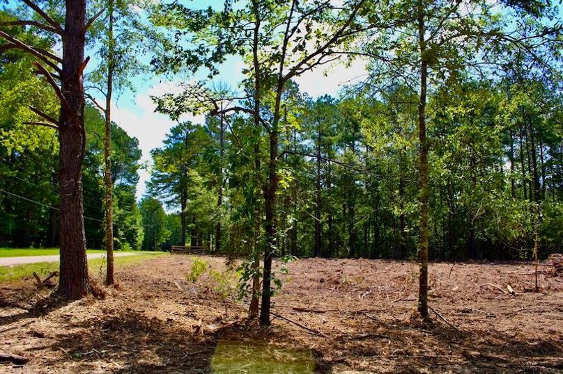 FBFB27EA-5D32-49AB-98E4-DC1B0F93A592_1_105_c