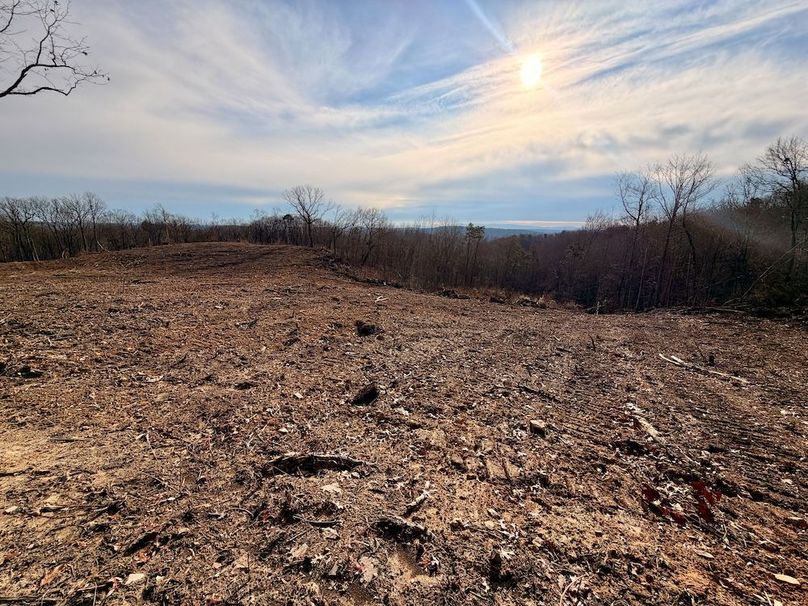 Roane Co TN 396 20251127_11