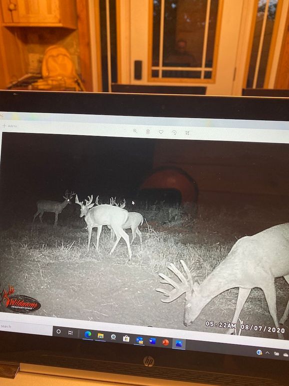 61888854503__E29D7224-F85F-46F1-9A42-66FC438E79AD