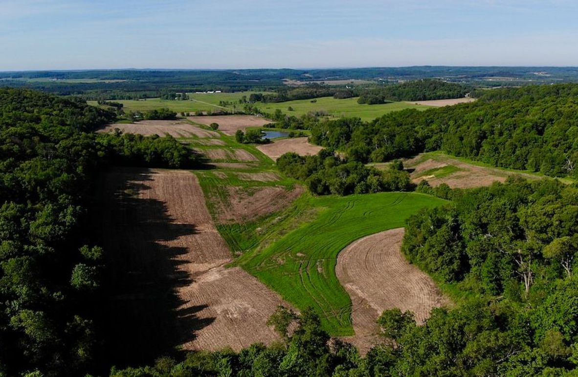 Jackson 178 - 1 of 63