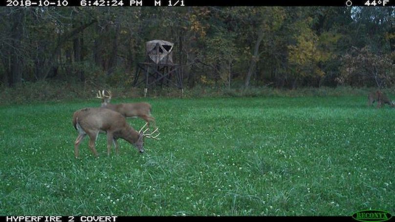 2018-10-10 18-42-24 M 1_1