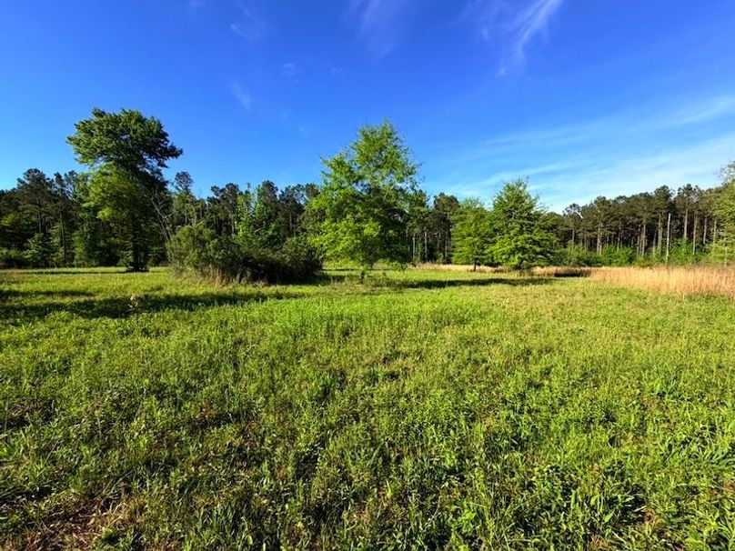 1434BF1D-B725-419A-A339-2462268077DB_1_105_c