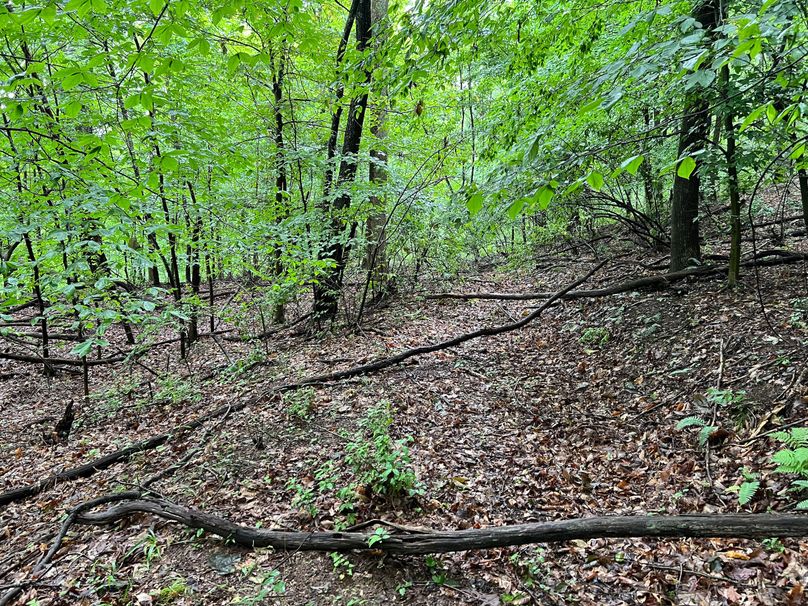 Wirt, WV 150.75 AC Tinnell-39