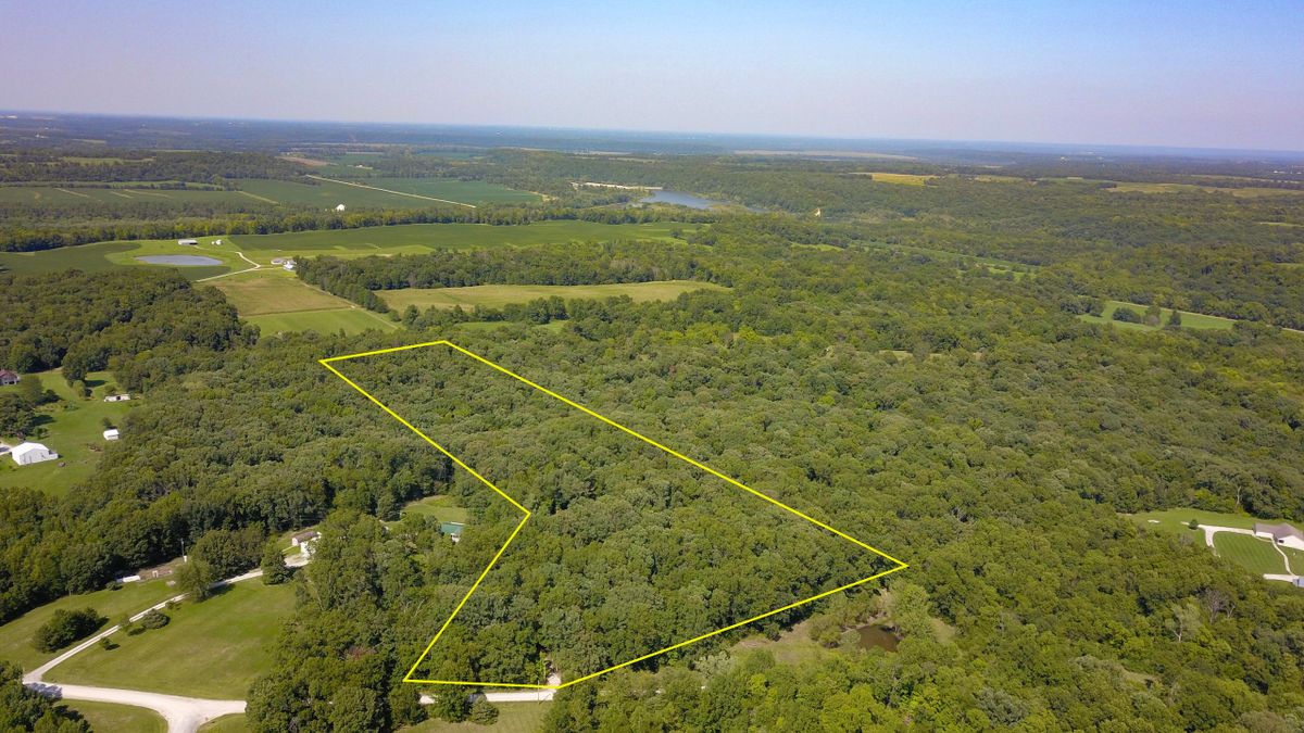 Timber Tract Near Mark Twain Lake Whitetail Properties