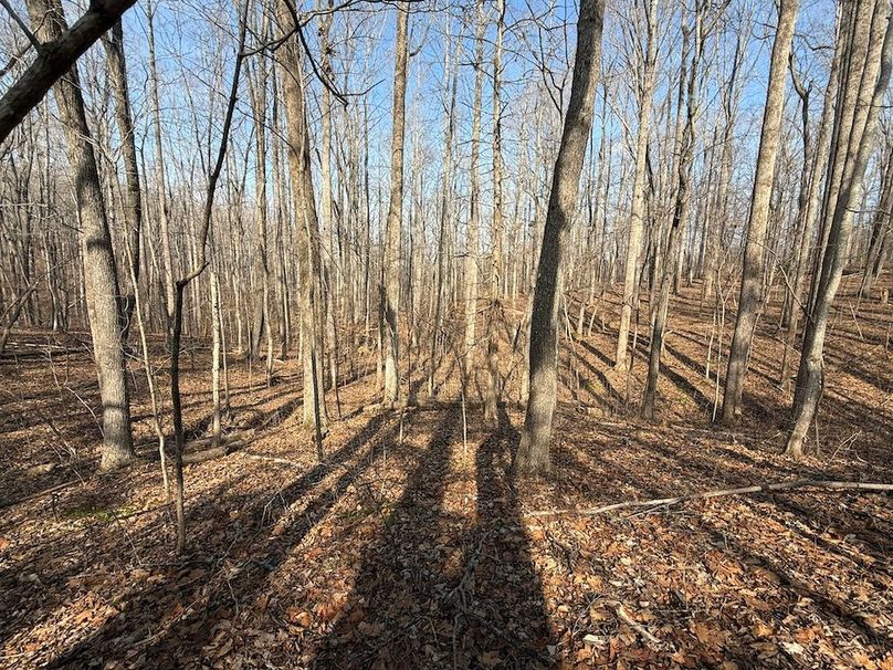 305D9C5E-B913-4893-95A8-E11F793633F3_1_102_o