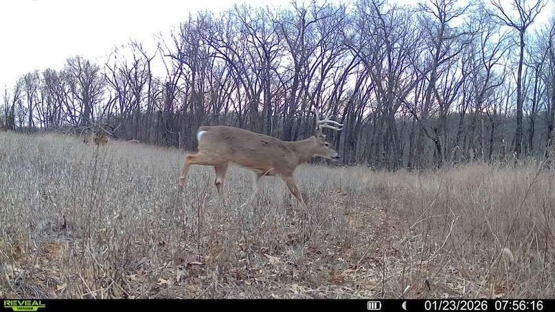 016578001710943-56-4-01232026075616-V-SYFW01642