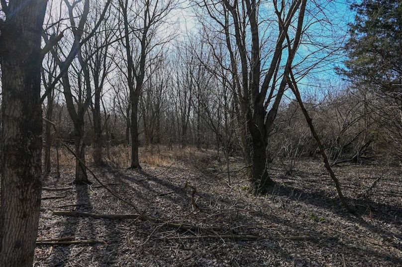 vandalia 450 (2)-1695