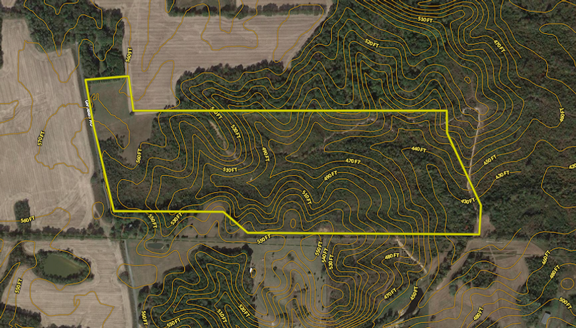 Screen Shot 2022-03-24 at 2.18.57 PM