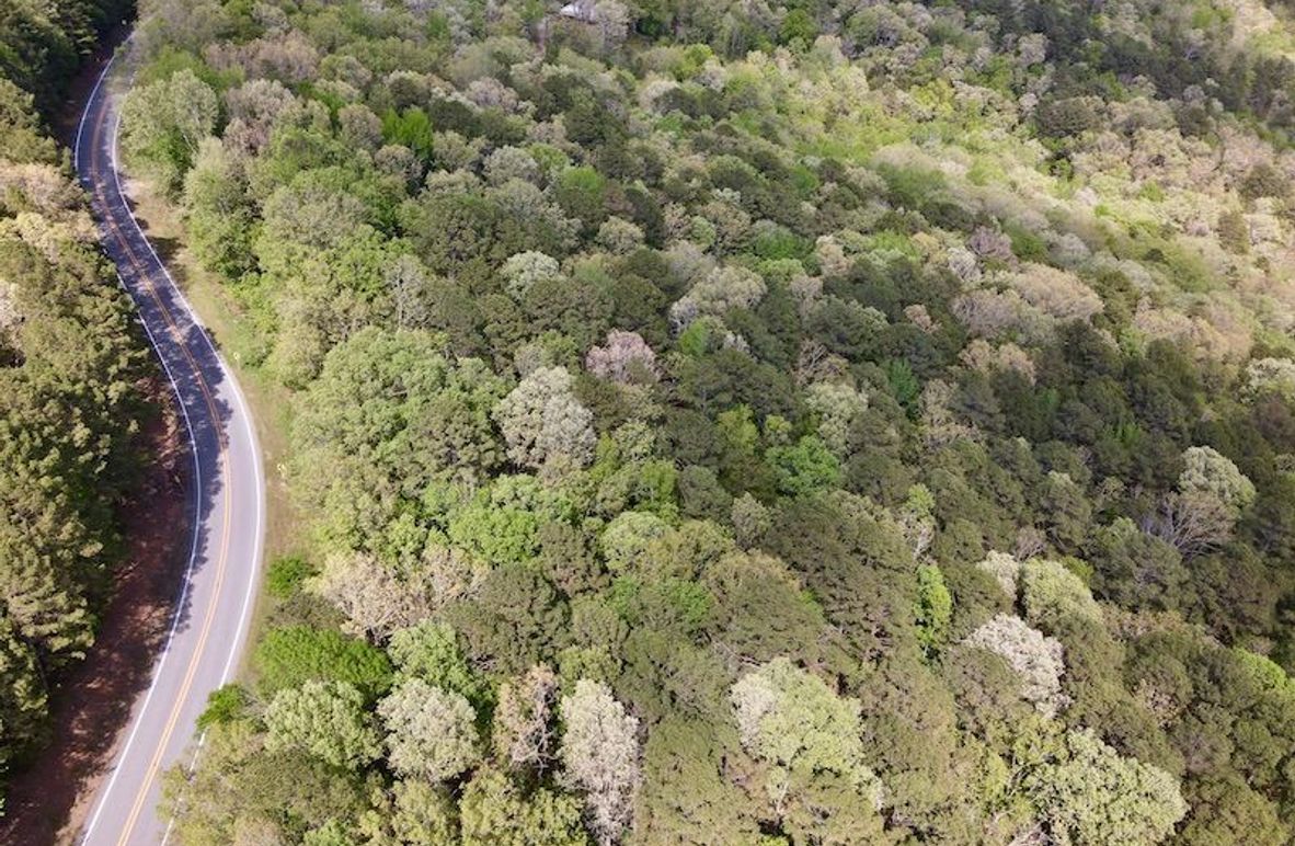 0AAC1616-78F9-4748-8A5F-548BEBE16914_1_201_a