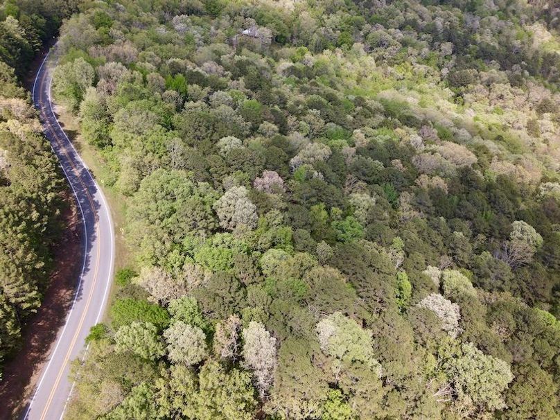 0AAC1616-78F9-4748-8A5F-548BEBE16914_1_201_a