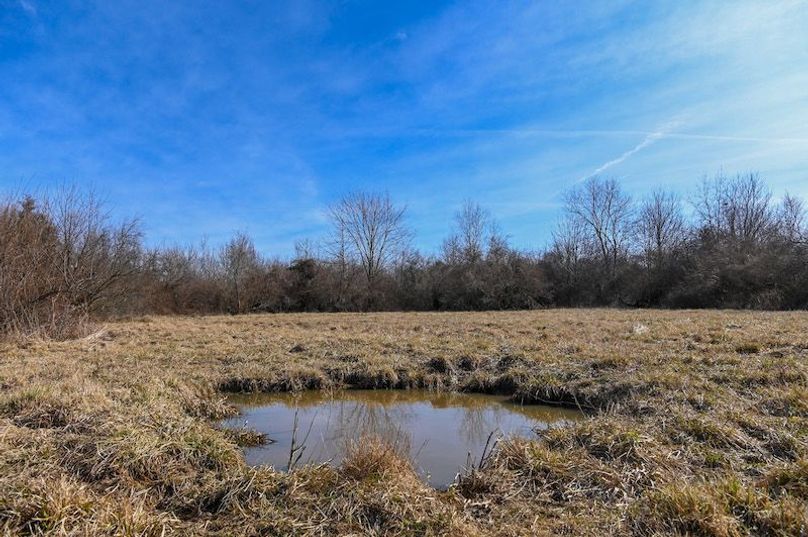 vandalia 450 (2)-1689