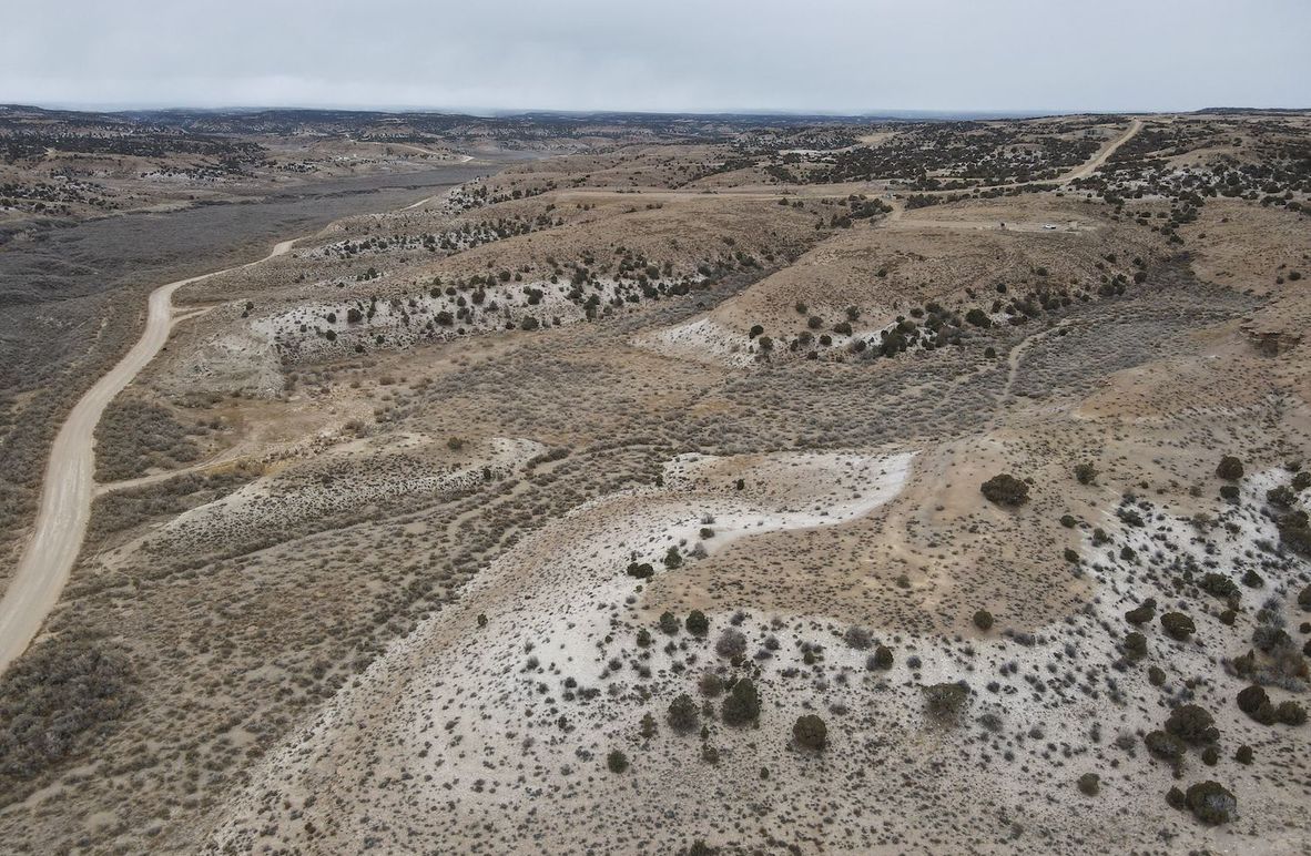 dji_fly_20240205_113852_290_1707158699663_photo