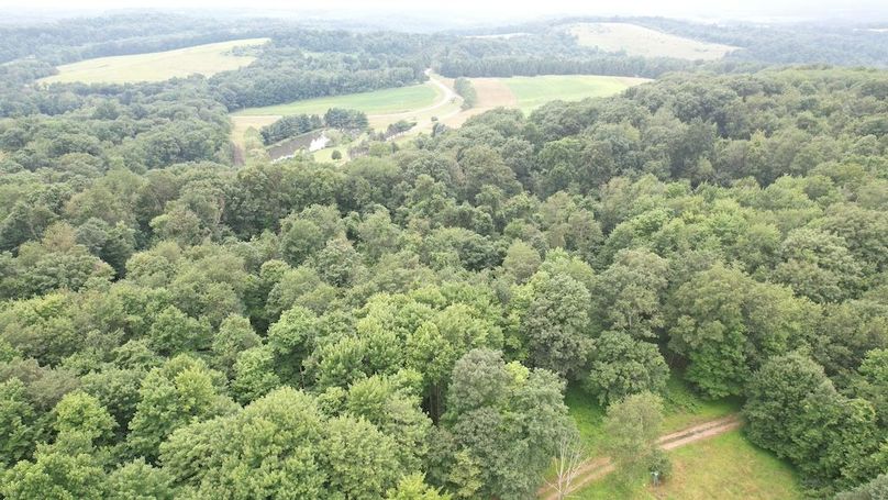 dji_fly_20250714_140450_427_1752537448646_photo