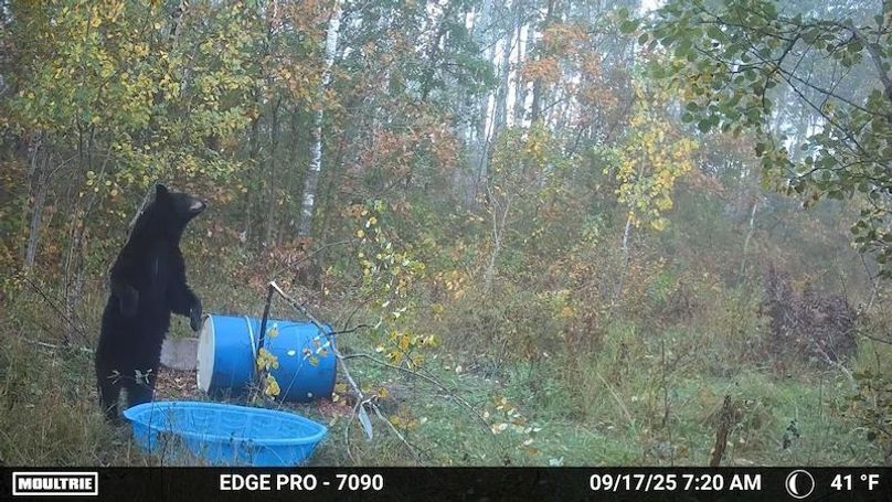 image639020099087654420