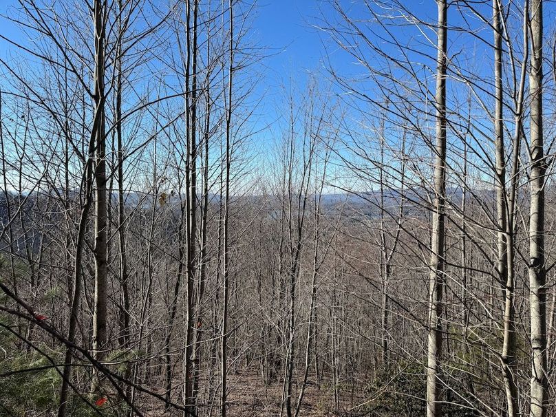 034 Clay 124.76 Fleaback-32