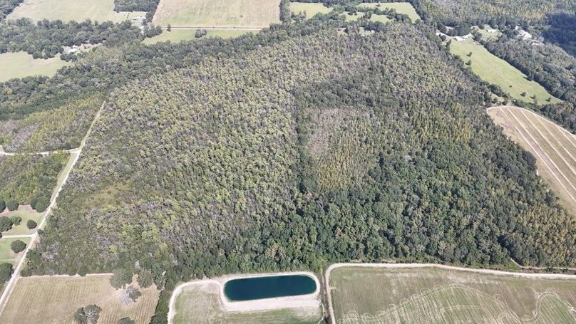 DJI_20250923005040_0742_D